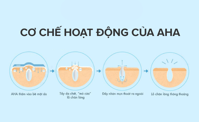 Cơ chế hoạt động của AHA trên da